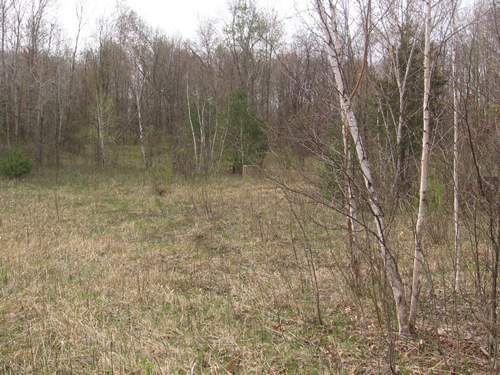 Western Michigan Speedway (West Michigan Speedway) - Spring 2008 From Me (newer photo)